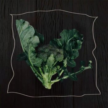 Brócoli orgánico