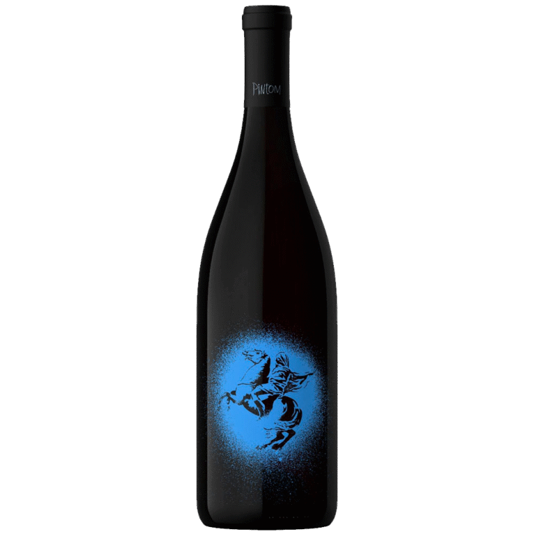 Pintom Sur Pinot Noir 2022