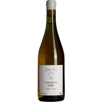 Canopus Blanco Viejas Viñas 2024