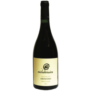 @micheliniwine Arduino Pinot Noir 2021