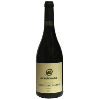 @micheliniwine Tupungato Divino 2021